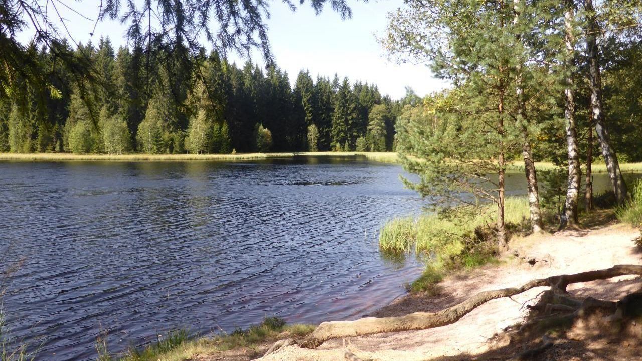 Vogtlandsee 15 min zu Fuß Vogtlandsee 15 min zu Fuß